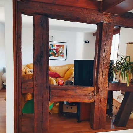Apartmán Chez Nathalie Et Sebastien Au Centre D'Obernai Exteriér fotografie